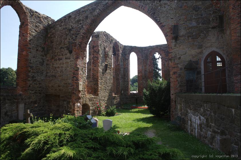 Ruine St Nikolai