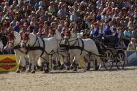 Viererzug aus Frankreich