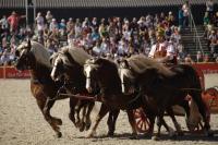 Schwarzwälder vor Streitwagen