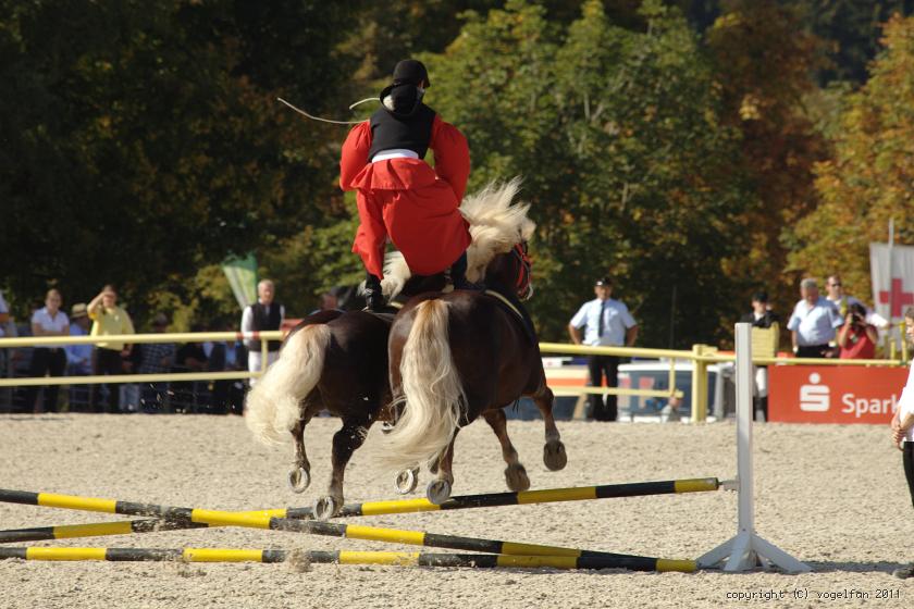 Ungarische Post springt