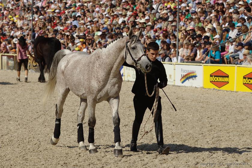 Araber aus Frankreich