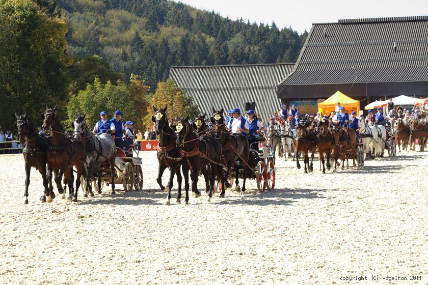 Quadrille mit Viererzügen