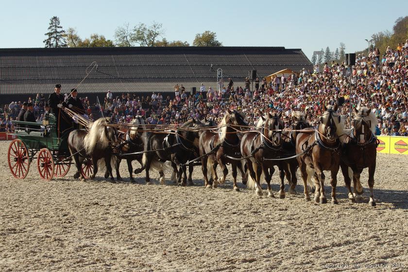 10er Zug Schwarzwälder