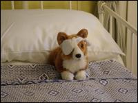 Corgi Schiffslazarett