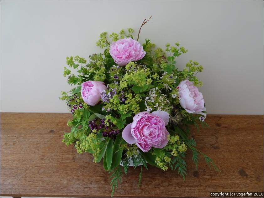 Pfingstrosen und Frauenmantel