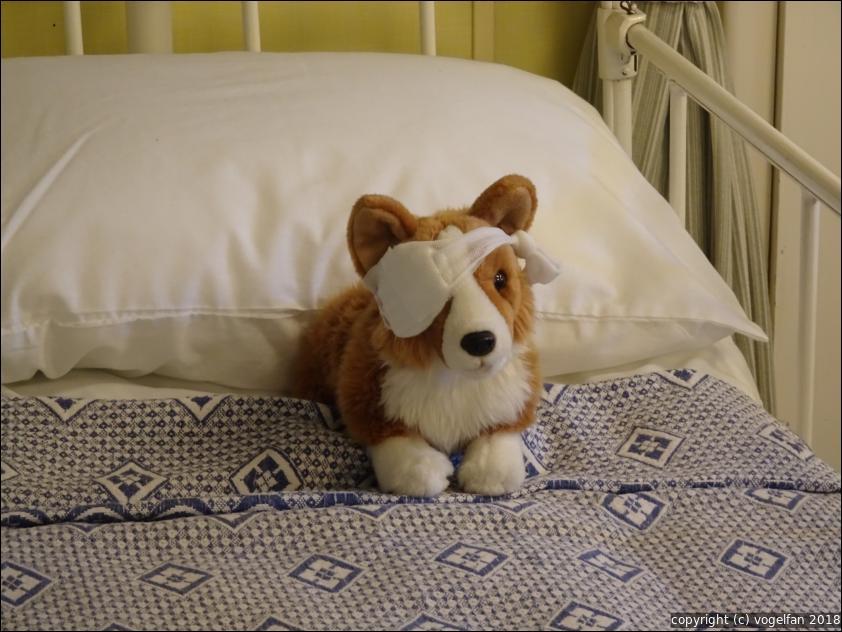 Corgi Schiffslazarett