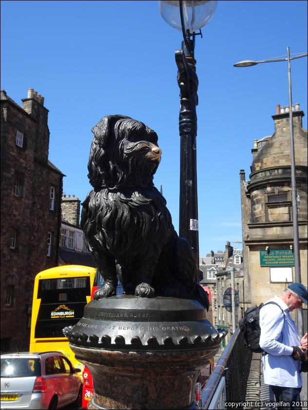 Greyfriars Bobby