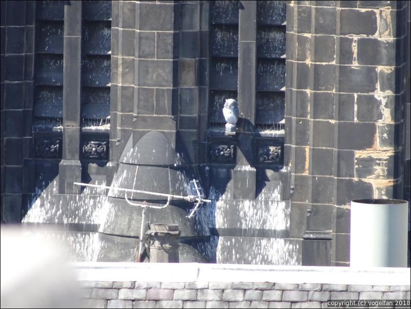 Augustine Union Church