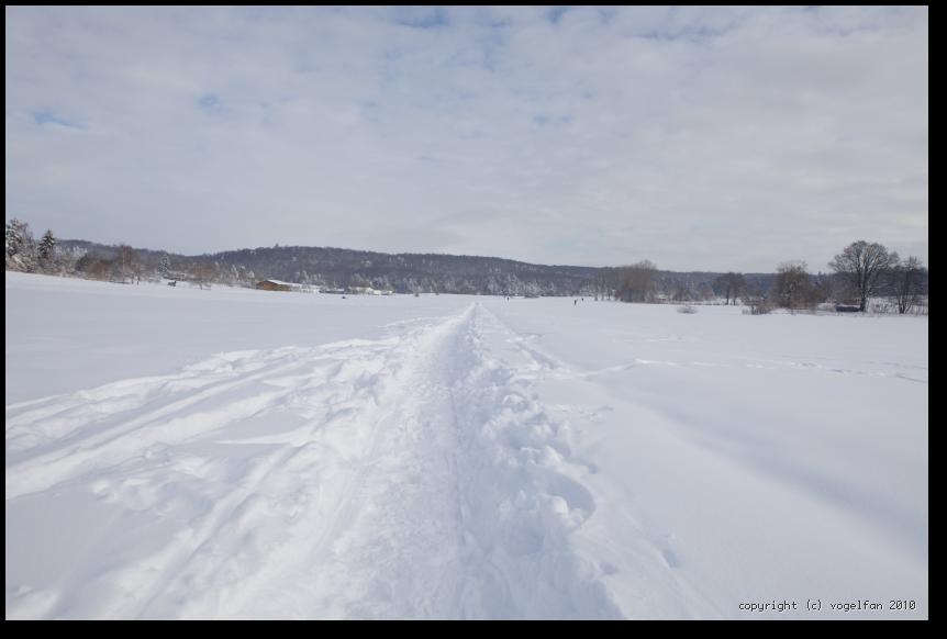 Talaue Richtung Osten