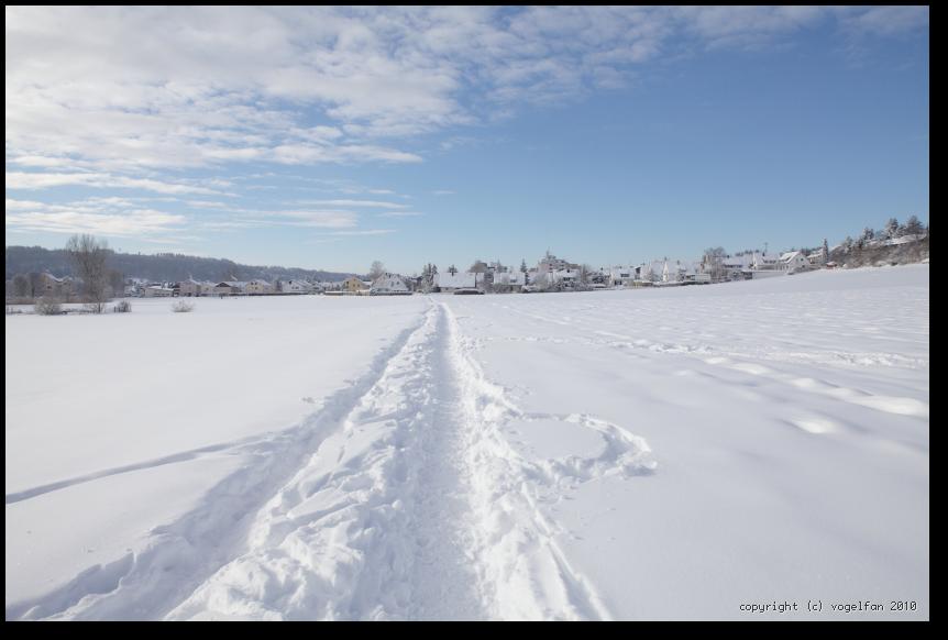 Talaue Richtung Westen
