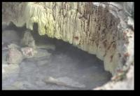 Blick in den Kochtopf