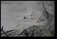Mud Pool