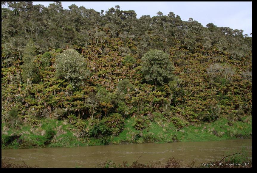 ... in allen Schattierungen