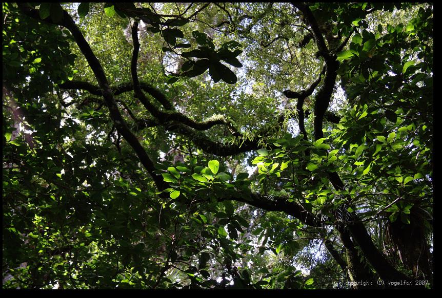 20071005 020942 IMG 3139