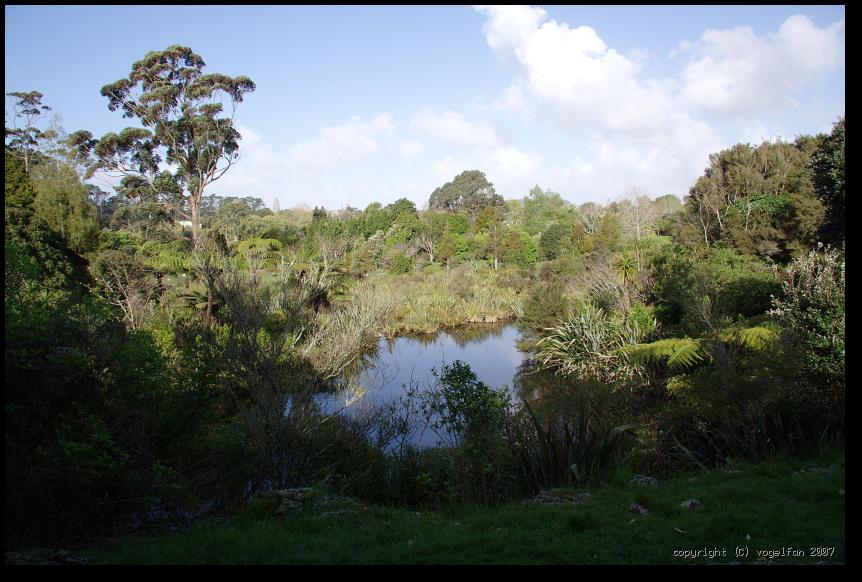 Einheimische Vegetation