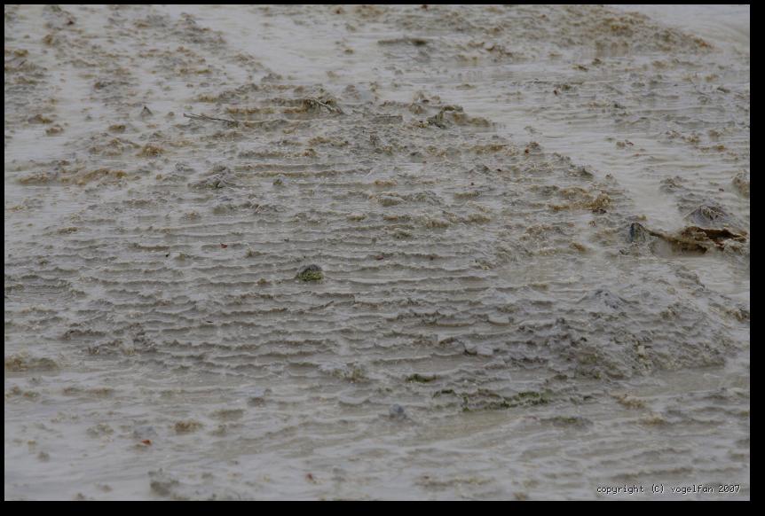 Detail Sinterterrassen