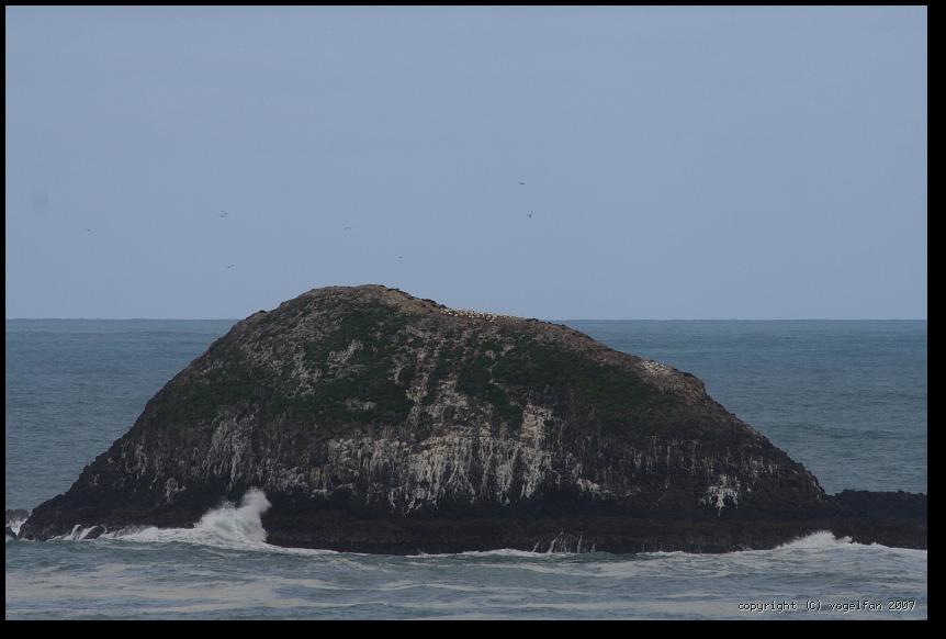 Alles wird ausgenutzt