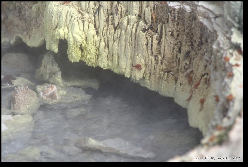 Blick in den Kochtopf