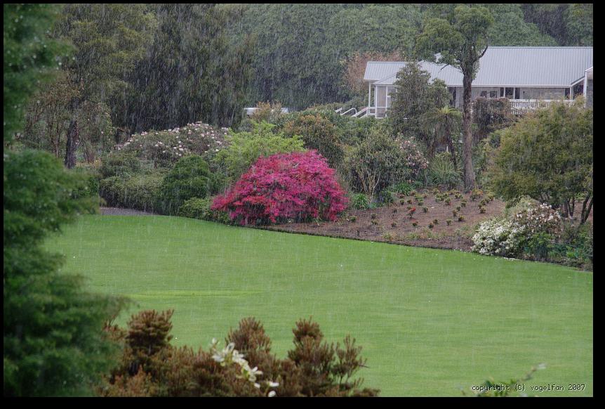 Noch ein Regenschauer