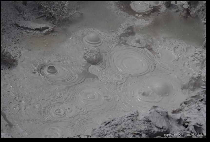 Mud Pool