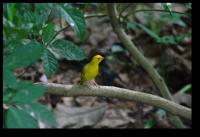 20071028 094548 IMG 5319