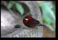 20071028 094604 IMG 5321