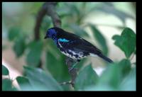 20071028 094744 IMG 5326