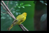 20071028 094756 IMG 5328