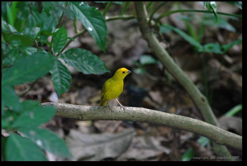 20071028 094548 IMG 5319