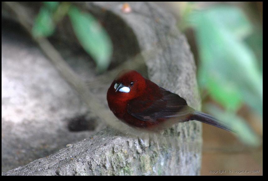 20071028 094604 IMG 5321