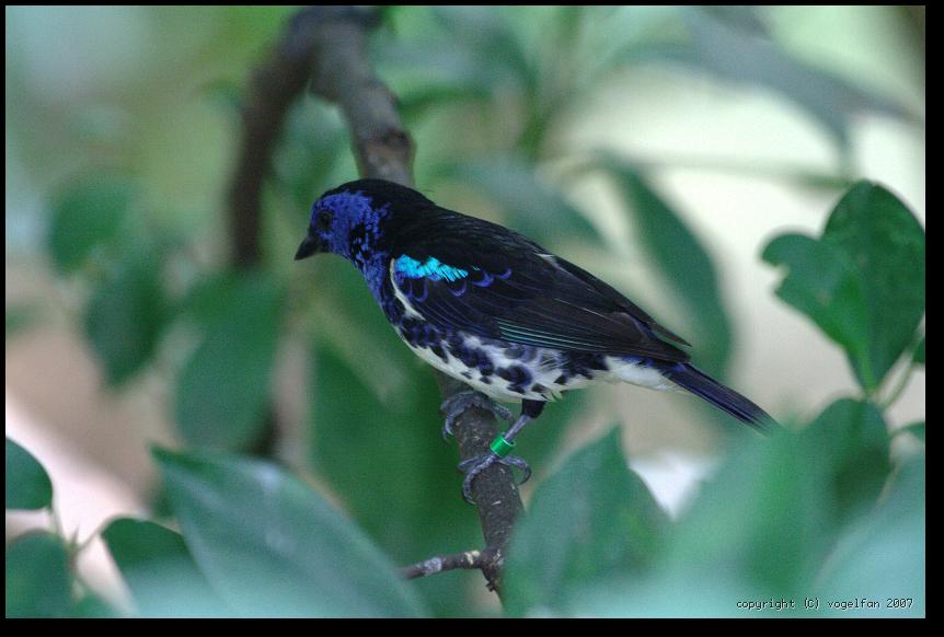 20071028 094744 IMG 5326