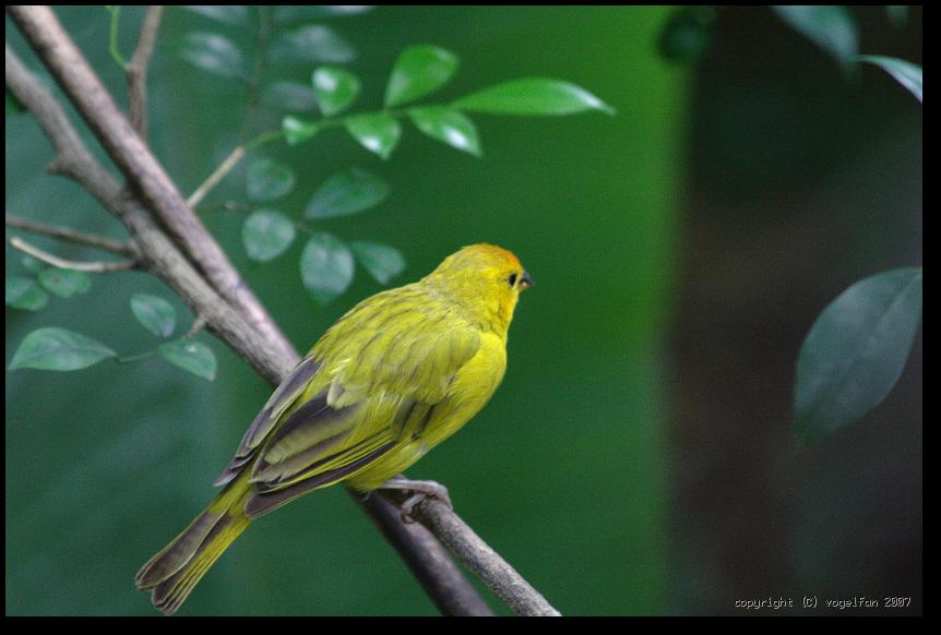 20071028 094756 IMG 5328