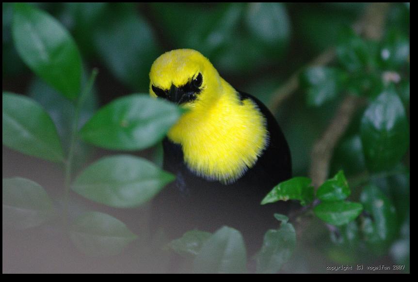 20071028 094803 IMG 5329