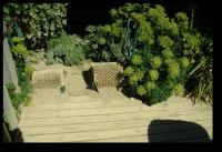 Schuhputzanlage Moeraki