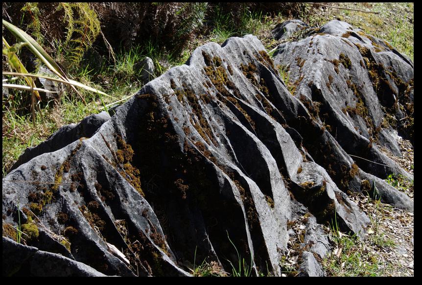 Unterwegs zum Hawkes Lookout