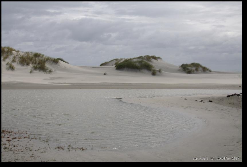 Duenen auf der Seeseite