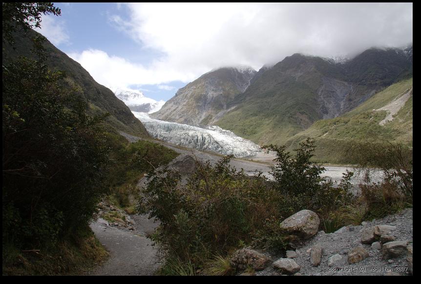 Fox-Glacier