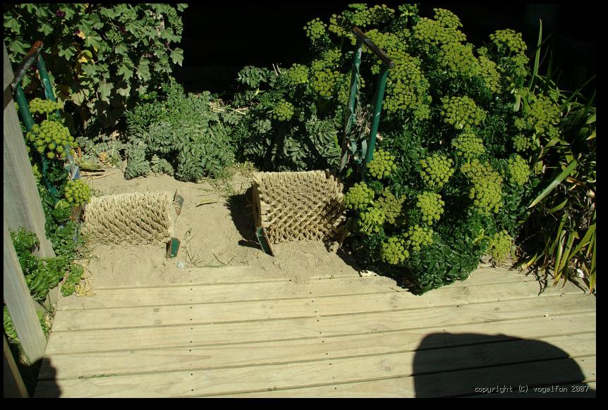 Schuhputzanlage Moeraki