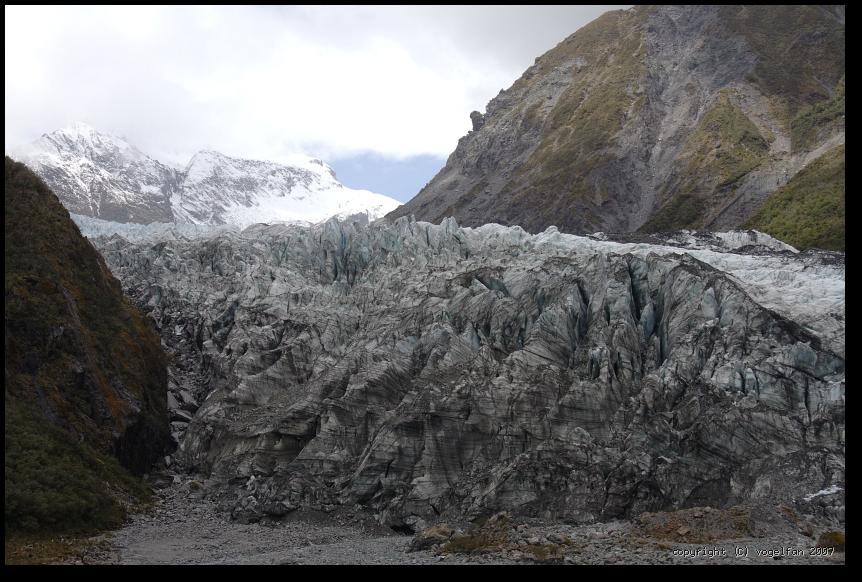 Fox-Glacier