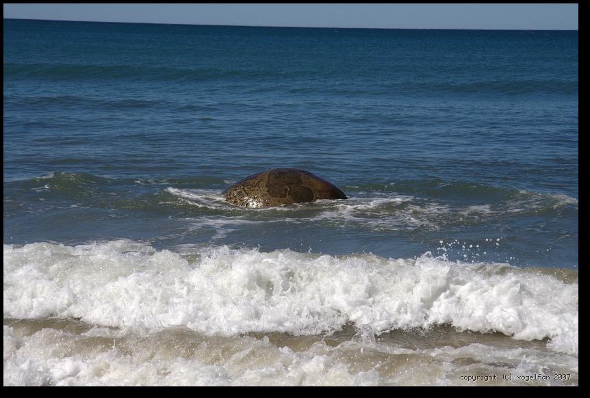Moeraki Boulder