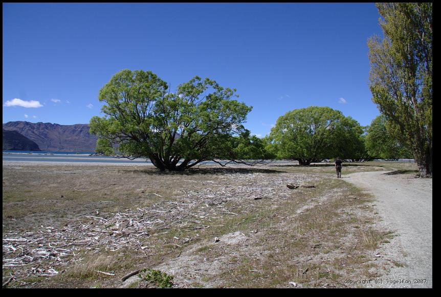 Strand Lake Wanaka