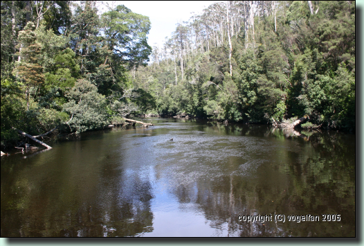 Arthur River