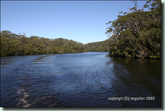 Arthur River
