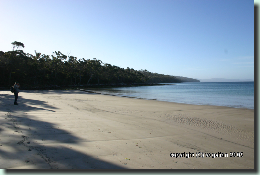 Lighthouse Jetty Beach