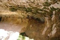 Die Mossy Cave