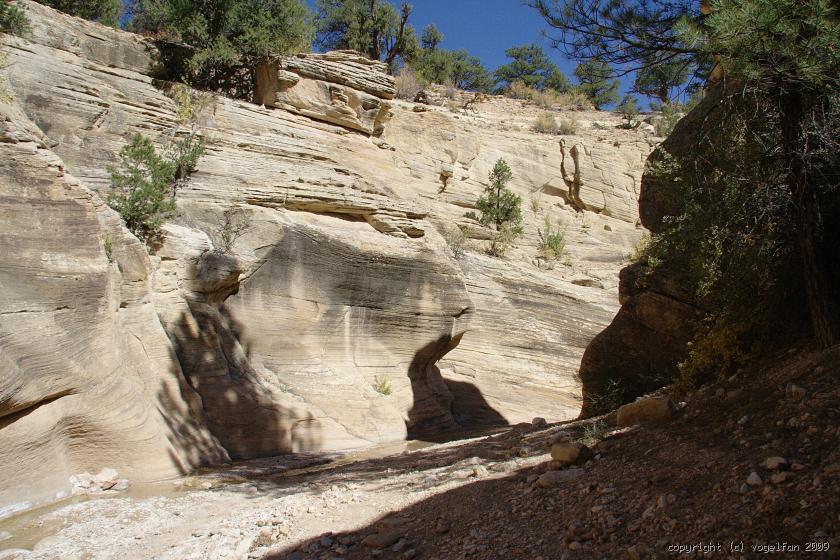 20091001 142335 IMG 9570