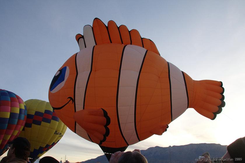 Nemo leicht zu finden